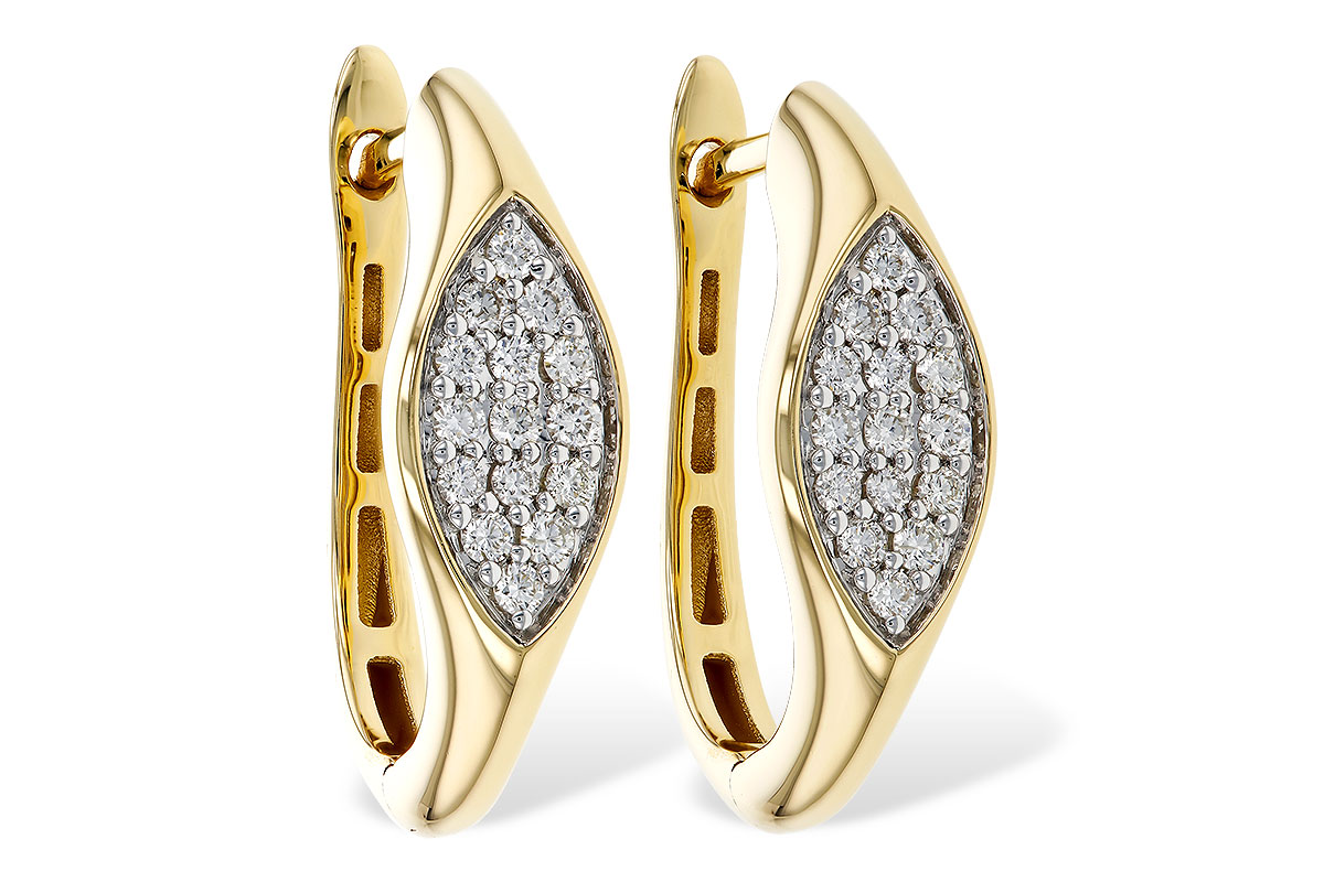 G293-62458: EARRINGS .25 TW