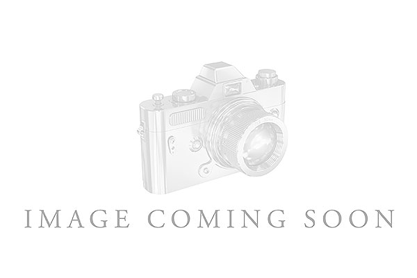 L294-47021: LDS SEMI RG .61 TW RUBY .87 TGW